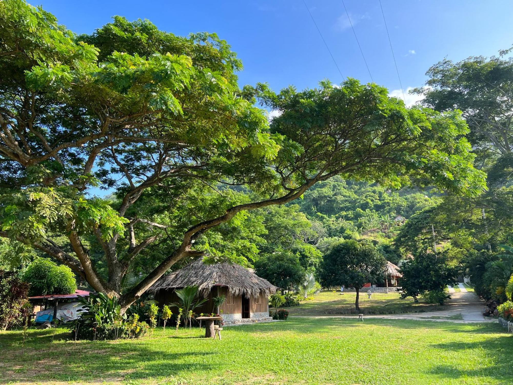 Tayrona Cachaco River Ecohostal El Zaino Luaran gambar